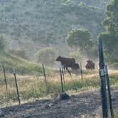 Review photo of Spanish Fork River Park by Necia S., July 2, 2025