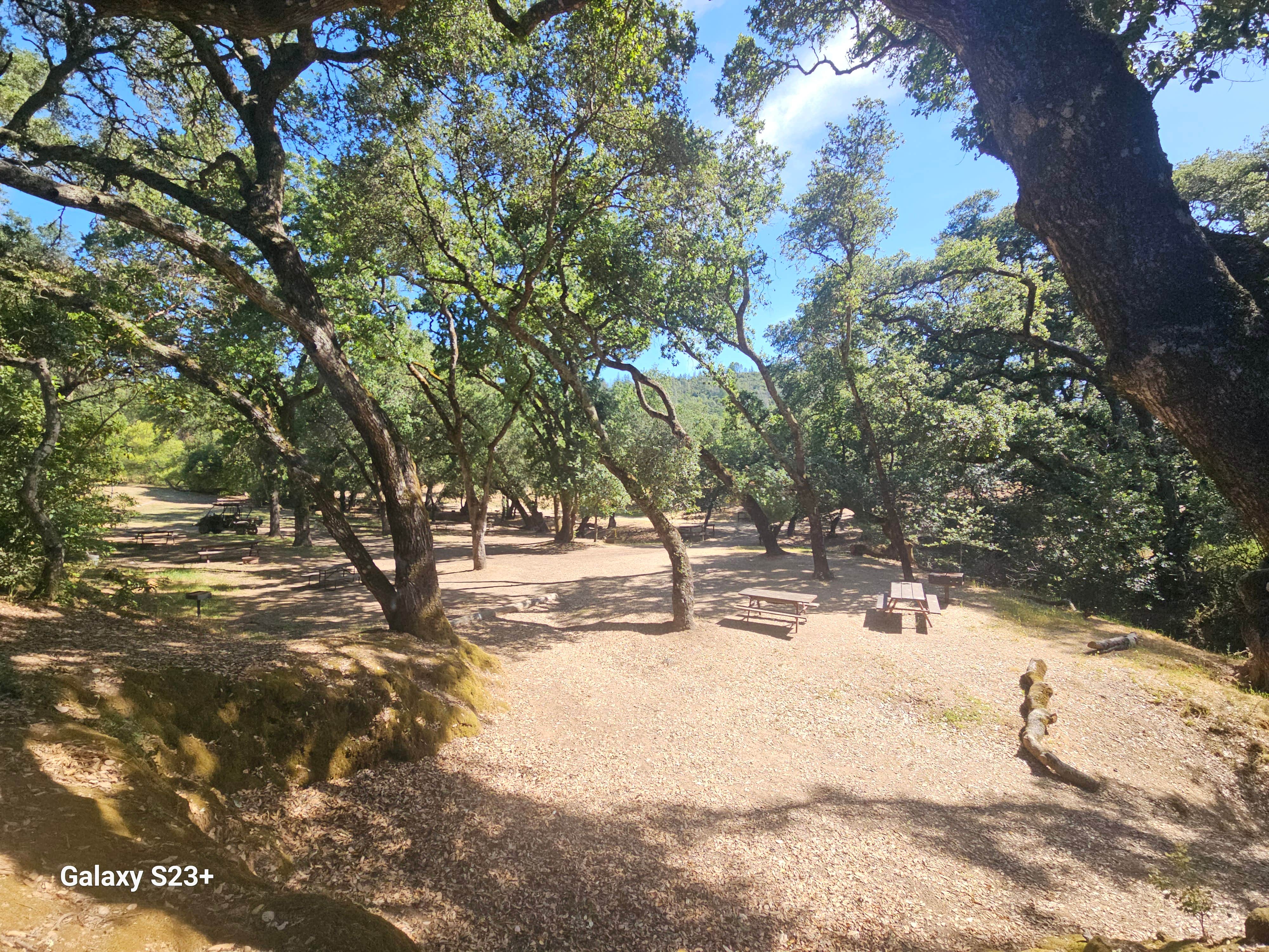 Camper-submitted photo at Koa Cloverdale Camping Resort near Geyserville, CA
