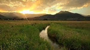 Umair K.'s photo of a dispersed camping area at Spread Creek Dispersed Campground near Grand Teton National Park