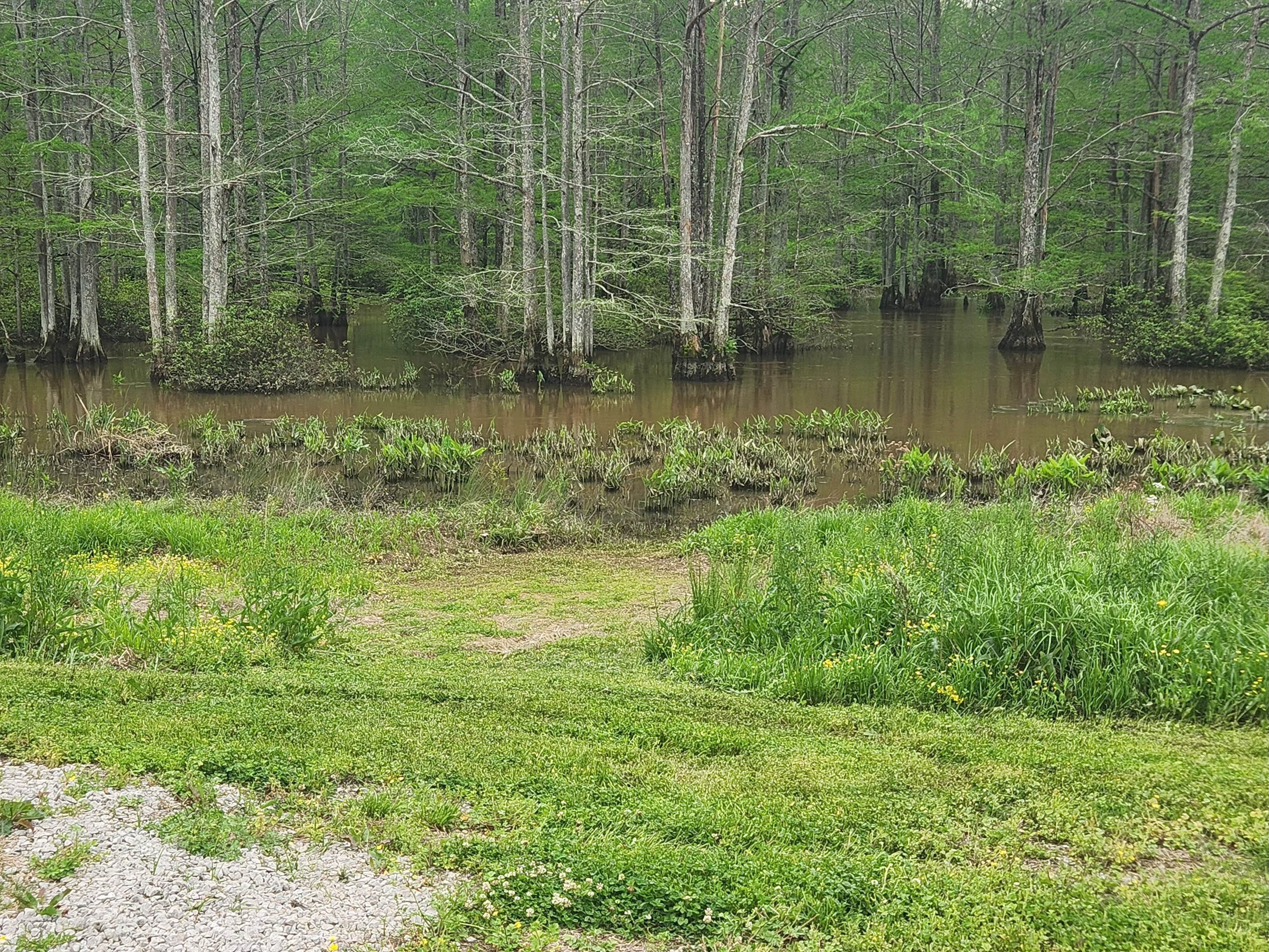Camper-submitted photo at Wolf River Float and Stay near La Grange, TN