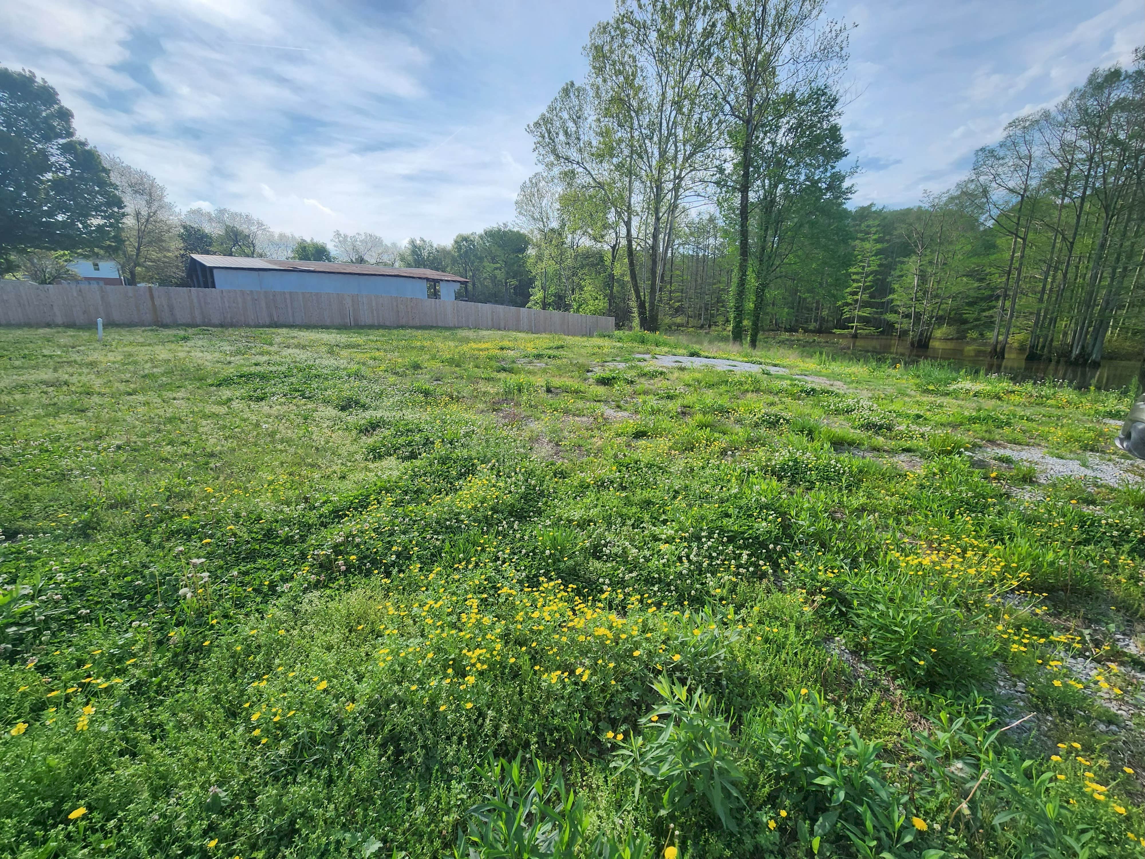 Camper-submitted photo at Wolf River Float and Stay near La Grange, TN