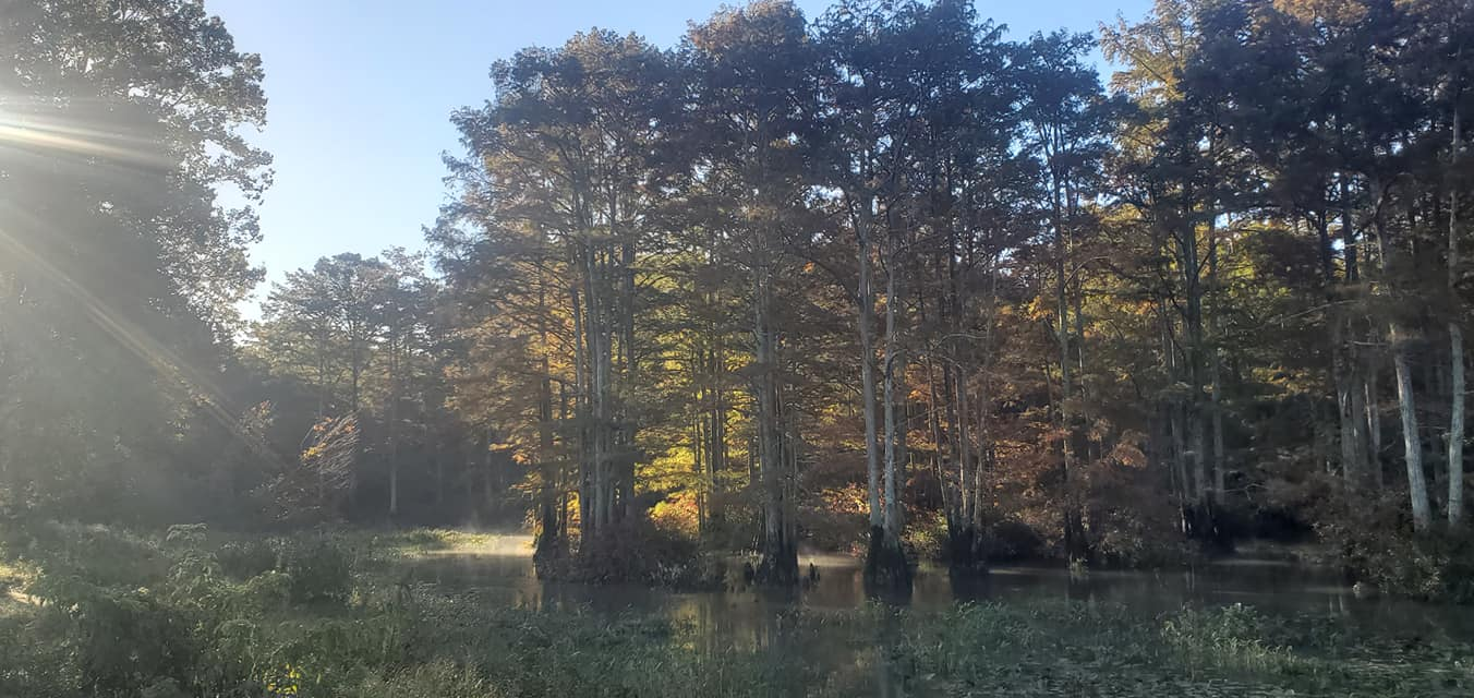 Camper submitted image from Wolf River Float and Stay - 1