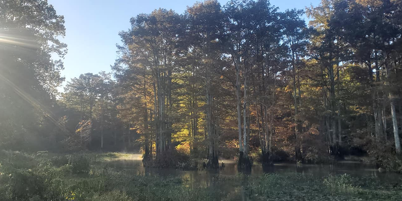 Camper submitted image from Wolf River Float and Stay