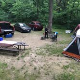 Review photo of Lake Kegonsa State Park Campground by Lisa S., July 29, 2019