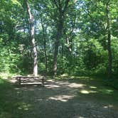 Review photo of Lake Kegonsa State Park Campground by Lisa S., July 29, 2019