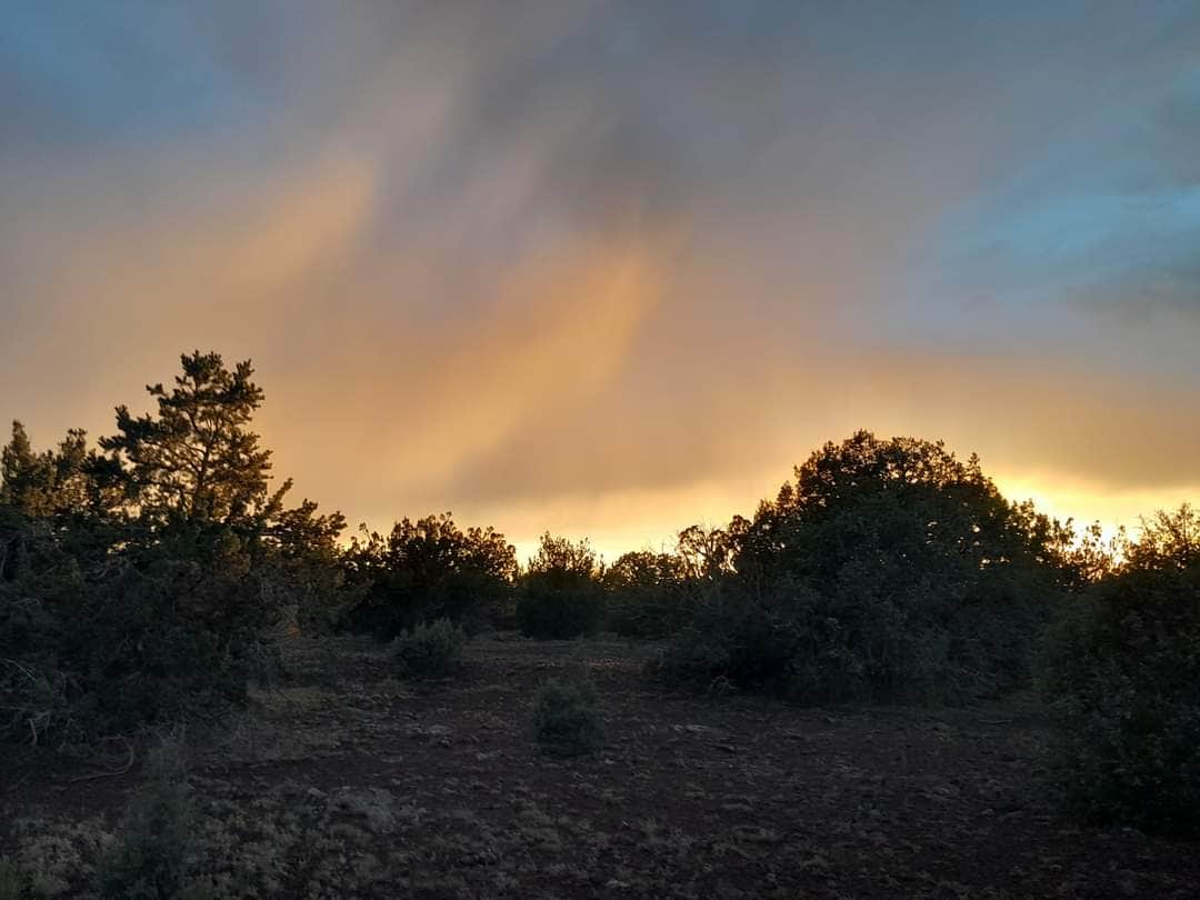 Camping near Texas Palms RV Park: Sidewinder Camp, Williams, Arizona