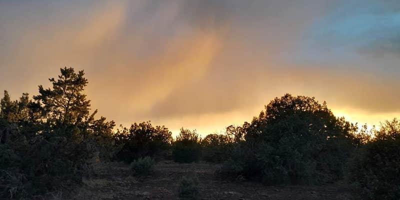 Camper submitted image from Sidewinder Camp