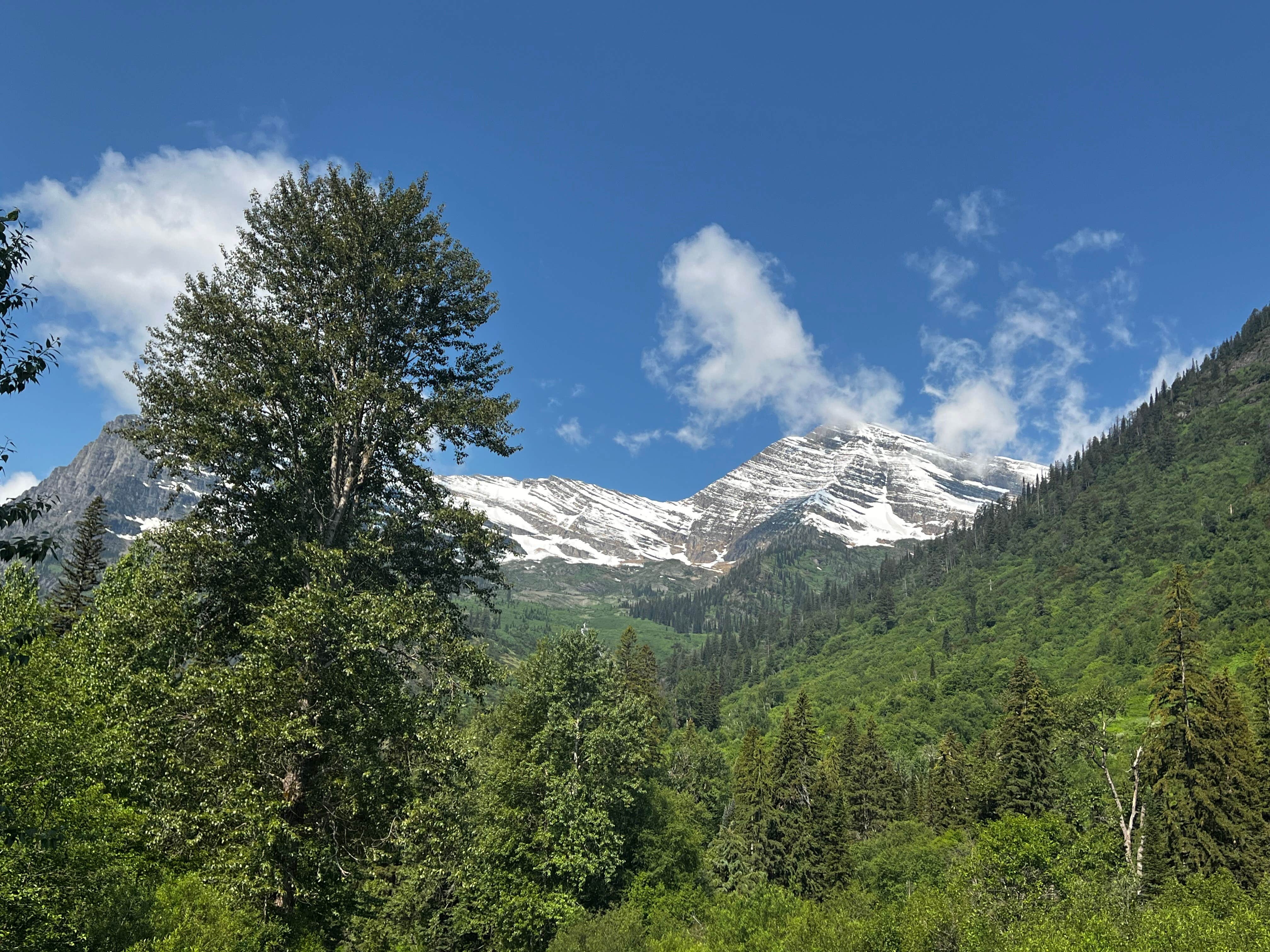 Camper-submitted photo at West Glacier RV & Cabin Resort near Siyeh Bend, MT