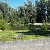 Review photo of Whispering Pines RV Campground by Patrick J., July 2, 2025