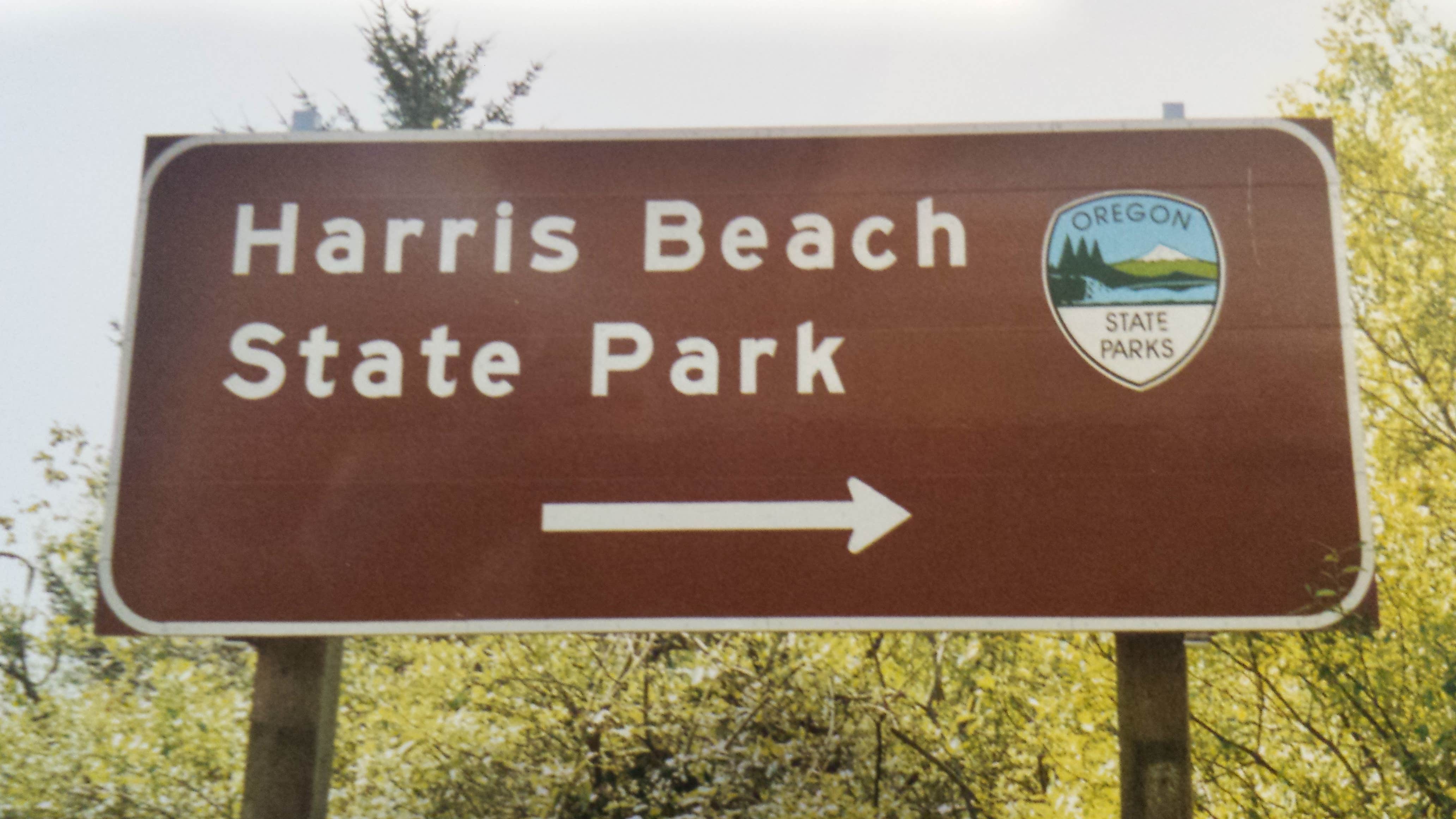 Camper submitted image from Harris Beach State Park Campground - 5