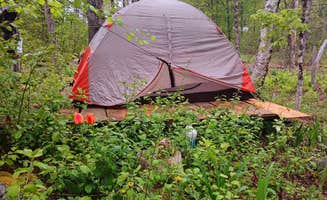 Rebecca W.'s photo at Chanterelle Valley near Medford, ME