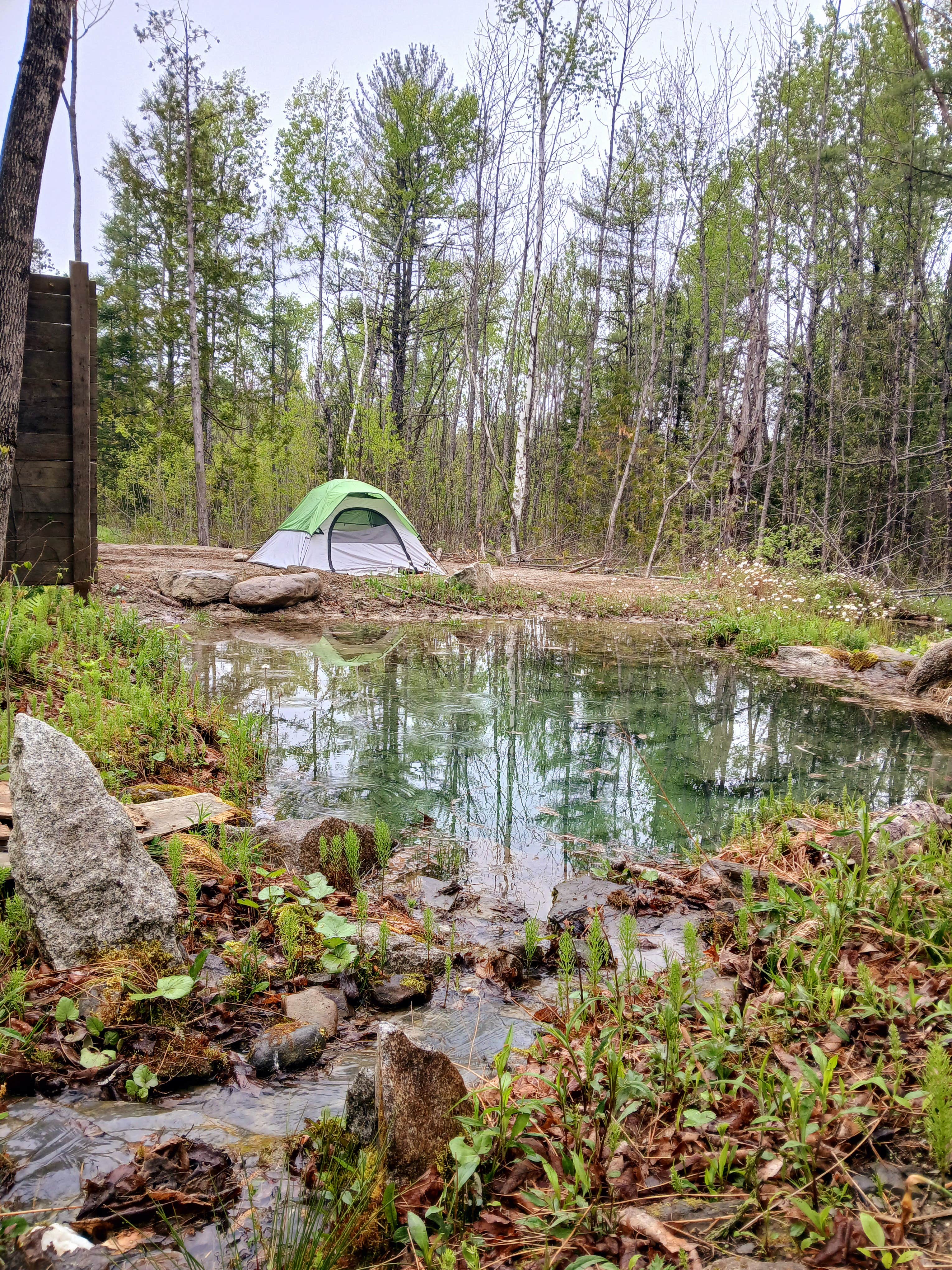 Camper-submitted photo at Chanterelle Valley near Bradley, ME