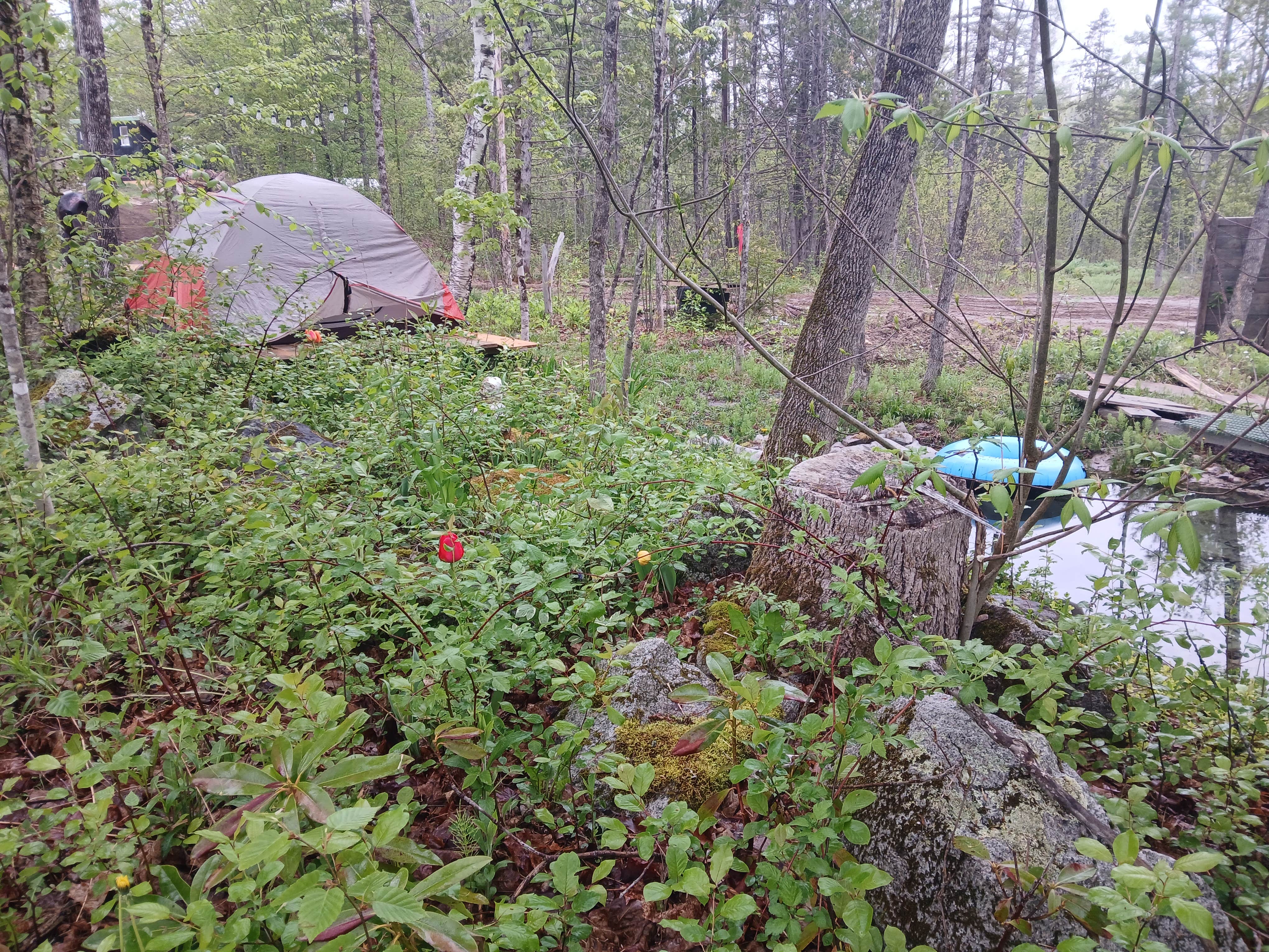 Camper-submitted photo at Chanterelle Valley near Bradley, ME
