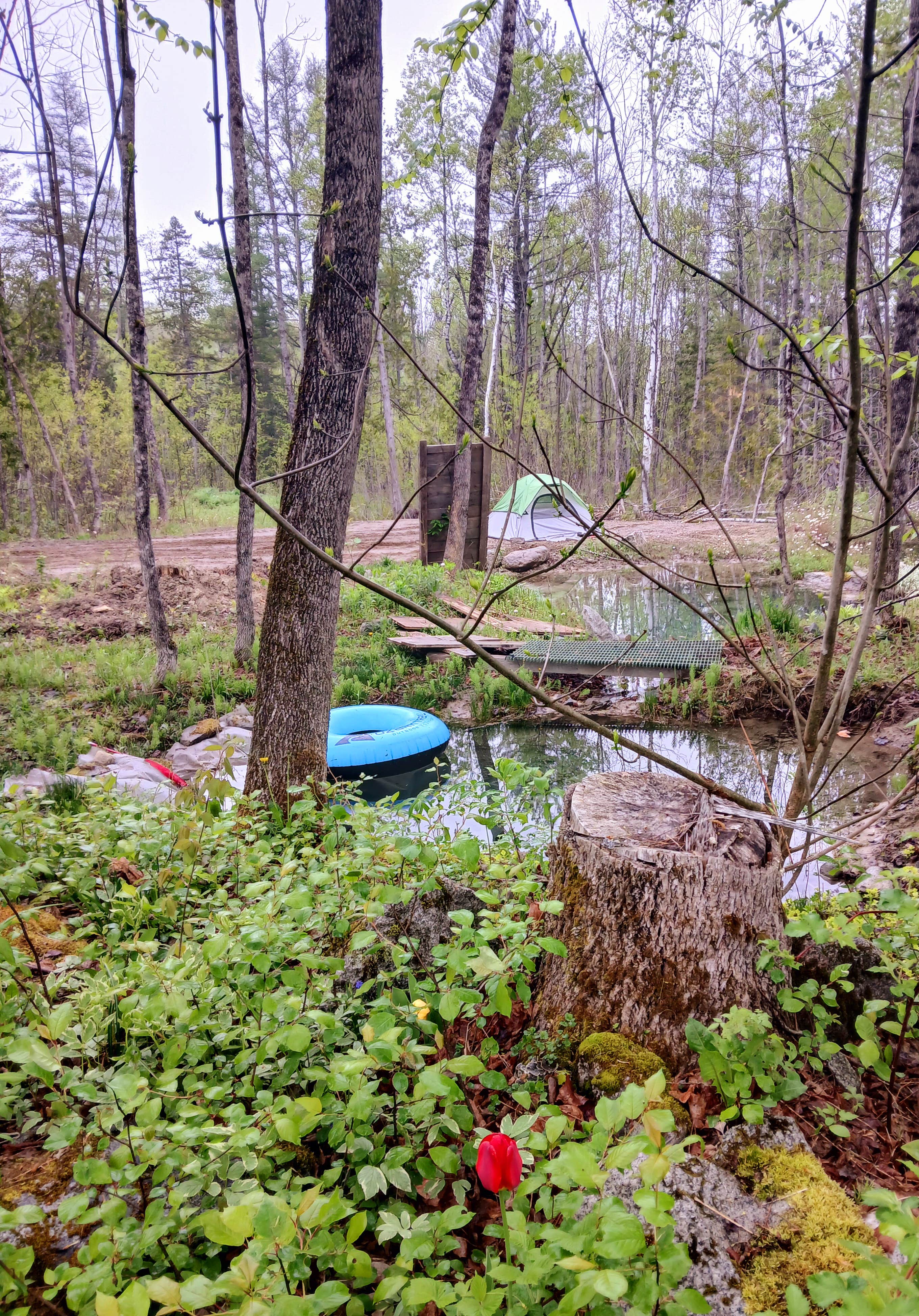 Camper-submitted photo at Chanterelle Valley near Bradley, ME