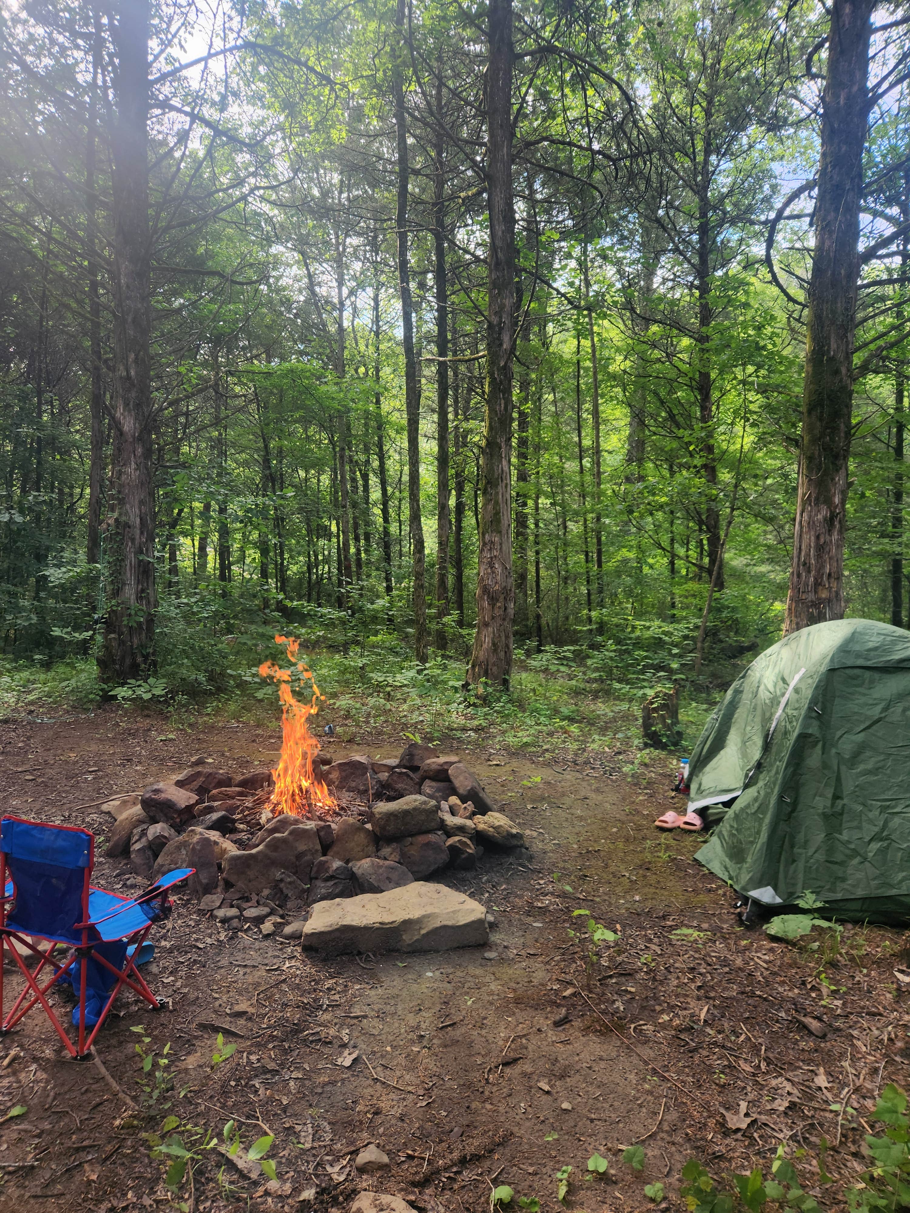 Camper submitted image from Dispersed Near Devils Den - 1