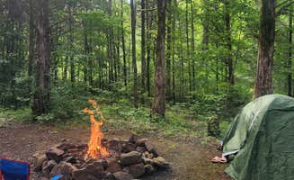 Lauren's photo at Dispersed Near Devils Den near Greenland, AR