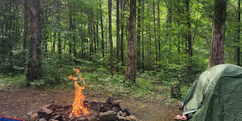 Camper submitted image from Dispersed Near Devils Den