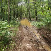 Review photo of Dispersed Near Devils Den by Lauren , July 3, 2025