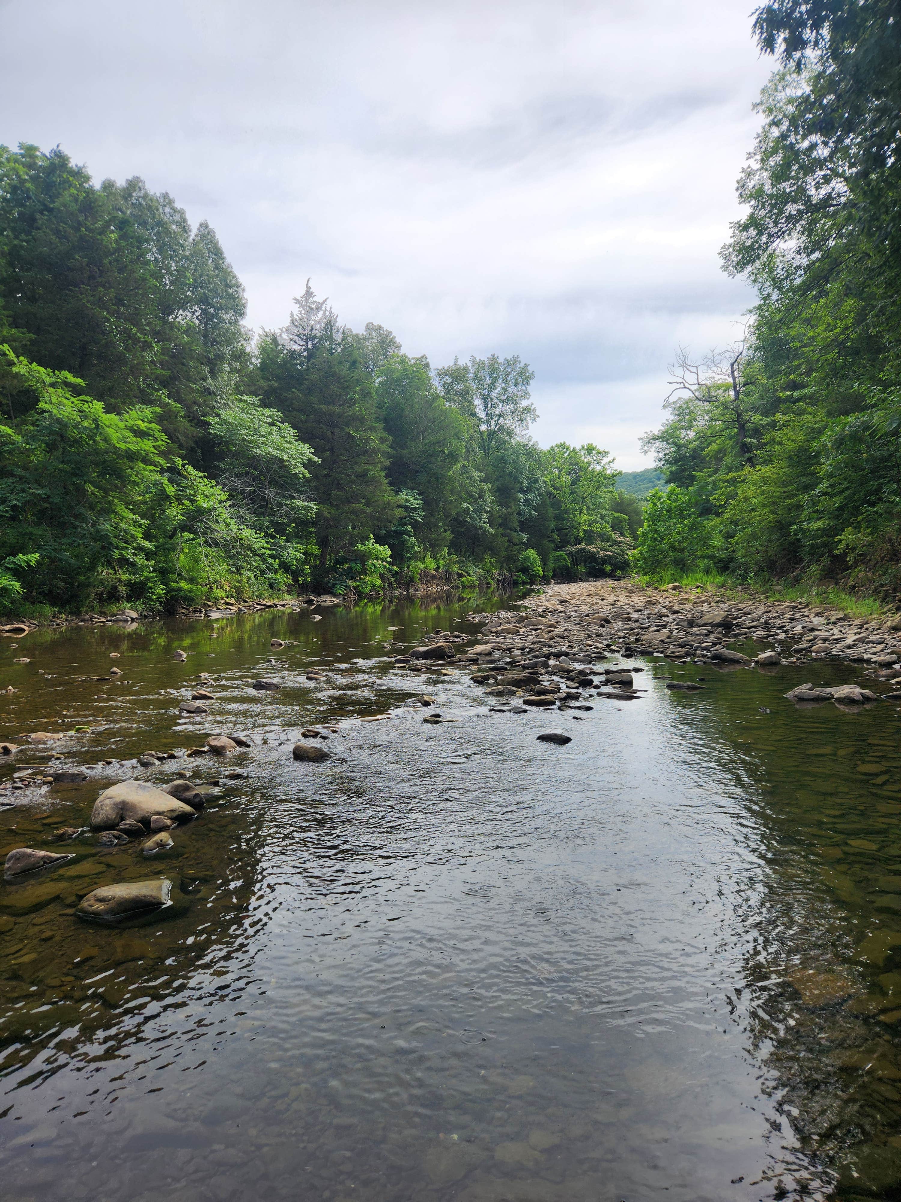 Camper-submitted photo at Dispersed Near Devils Den near Fayetteville, AR