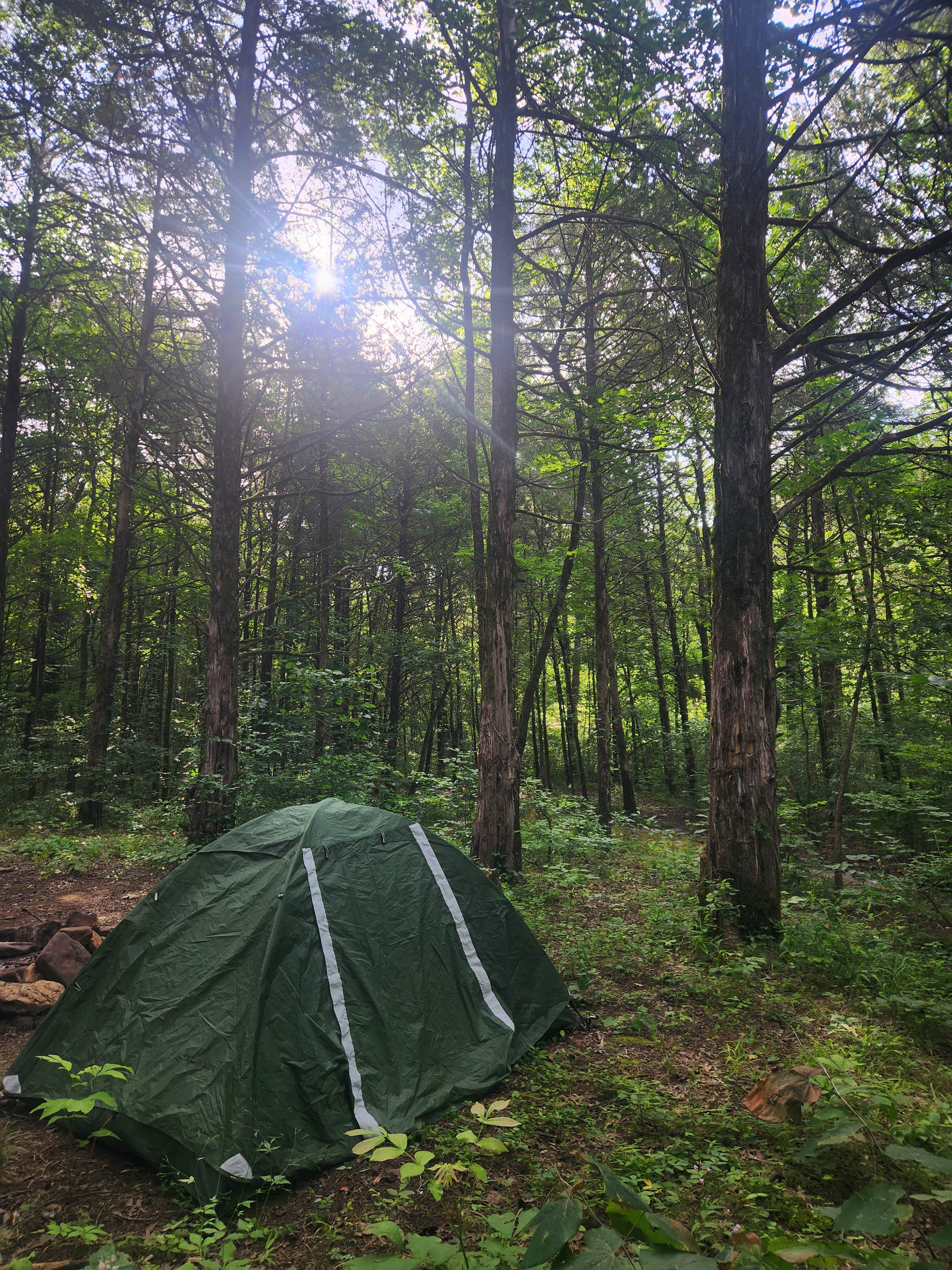 Camper-submitted photo at Dispersed Near Devils Den near Fayetteville, AR