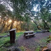 Review photo of Bootjack Campground — Mount Tamalpais State Park by R D., July 3, 2025
