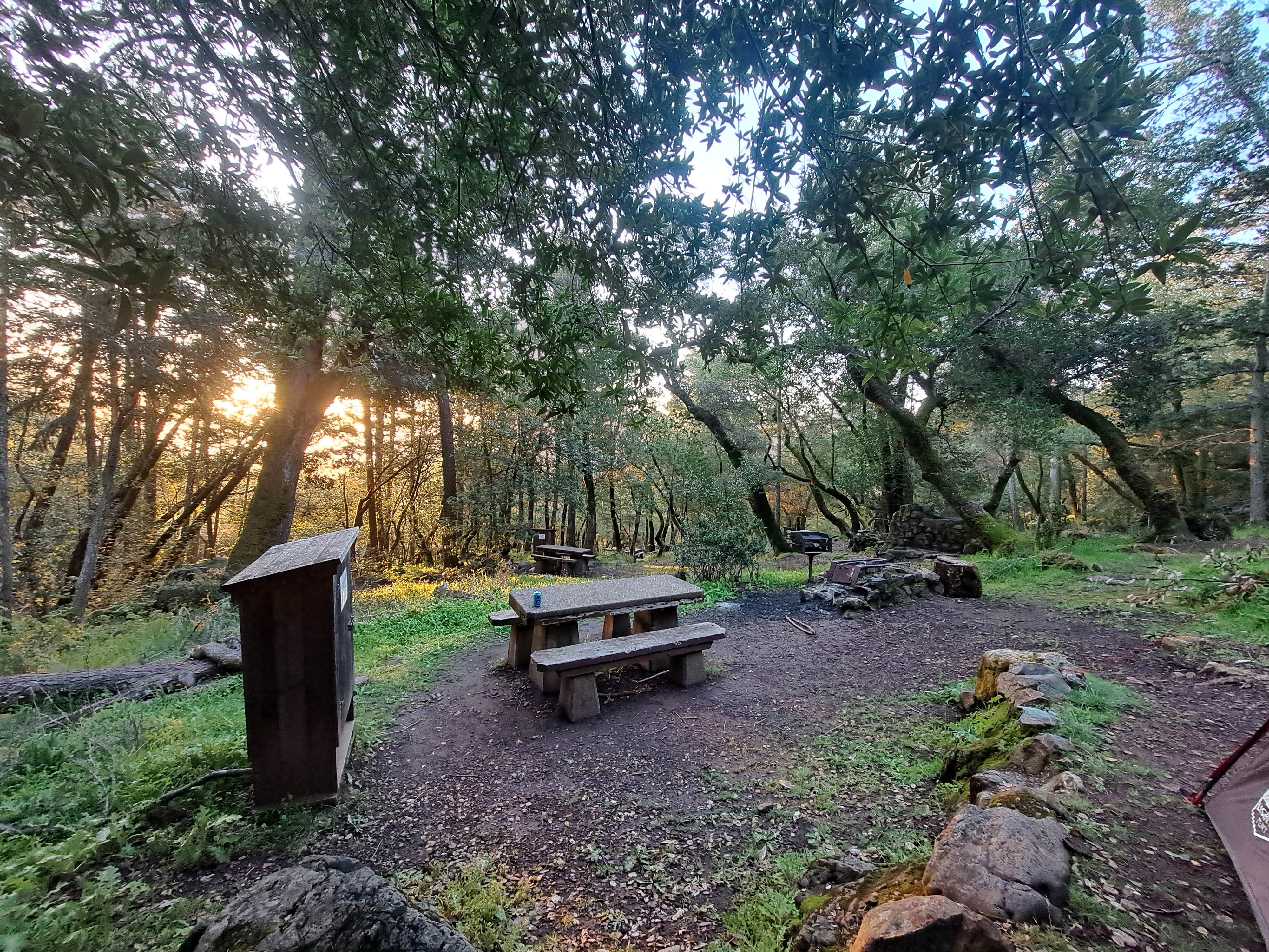 Camper submitted image from Bootjack Campground — Mount Tamalpais State Park - 3
