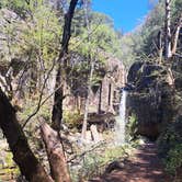 Review photo of Castle Crags State Park Campground by R D., July 3, 2025