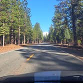 Review photo of Castle Crags State Park Campground by R D., July 3, 2025