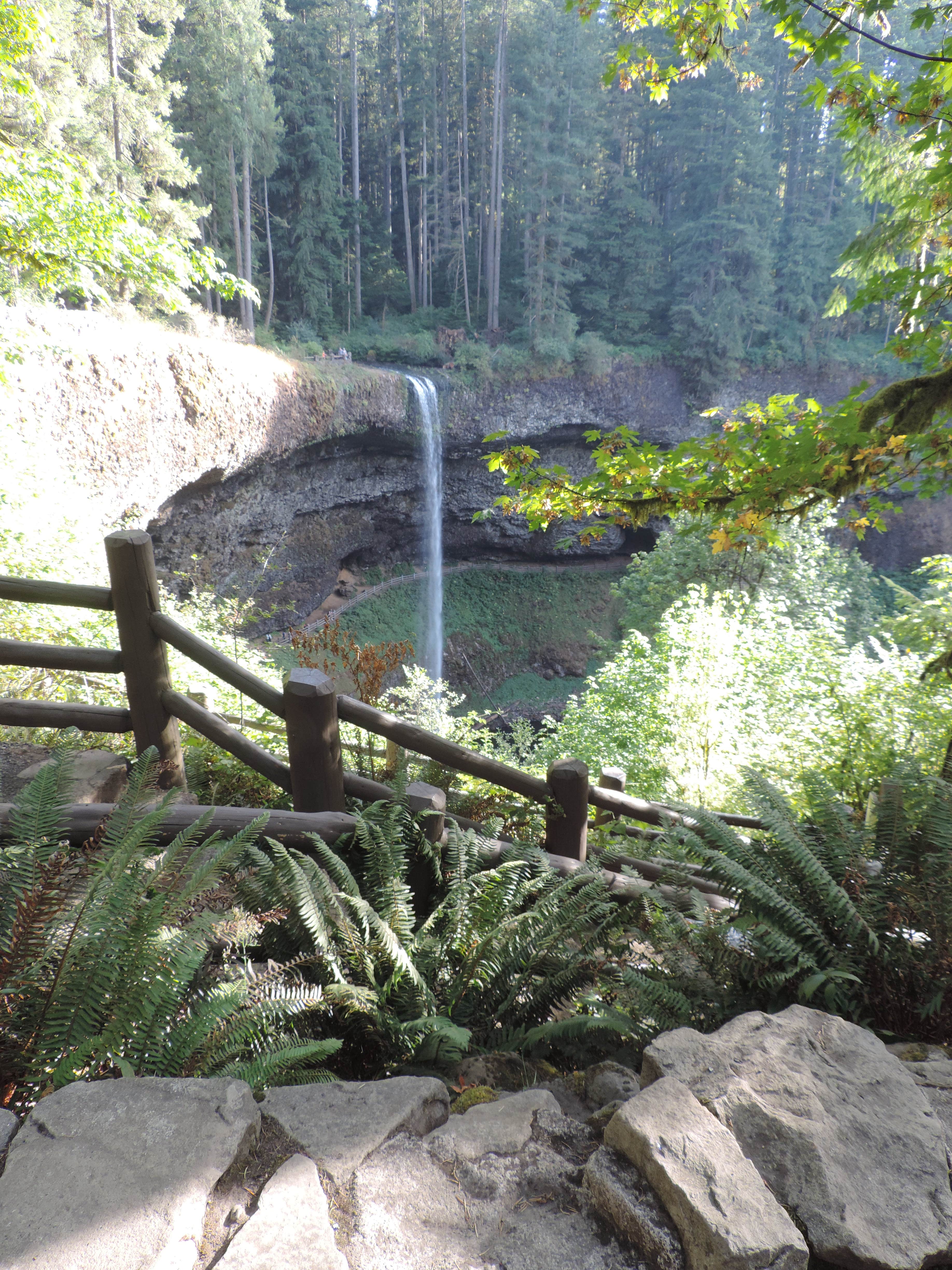 Camper submitted image from Silver Falls State Park Campground - 5