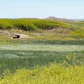 Review photo of Sage Creek Campground by Tara S., July 29, 2019