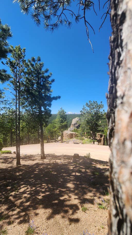 Camper submitted image from Mt. Herman Road Dispersed Site 2 - 1