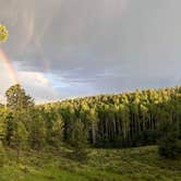 Review photo of Mueller State Park Campground by Steve C., July 3, 2025