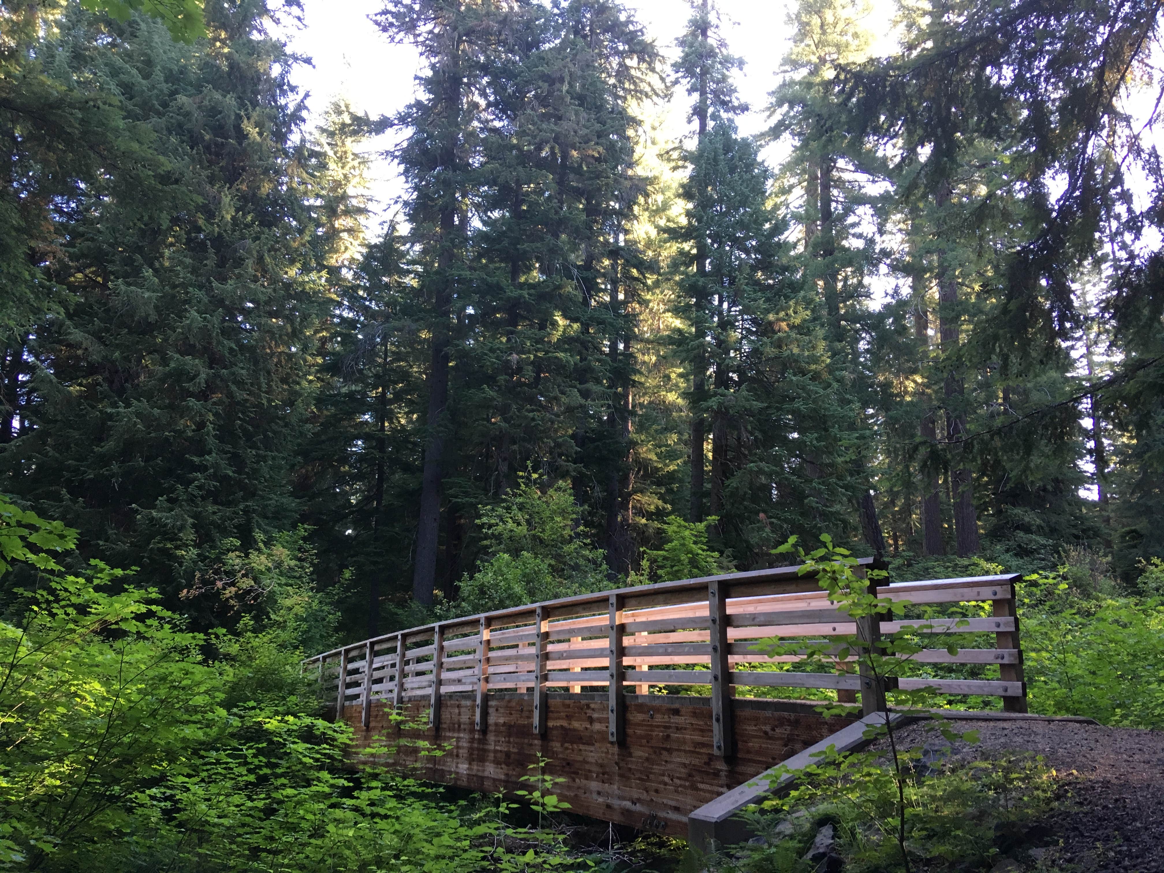 Camper-submitted photo at Union Creek Campground - Rogue River - TEMPORARILY CLOSED near Prospect, OR