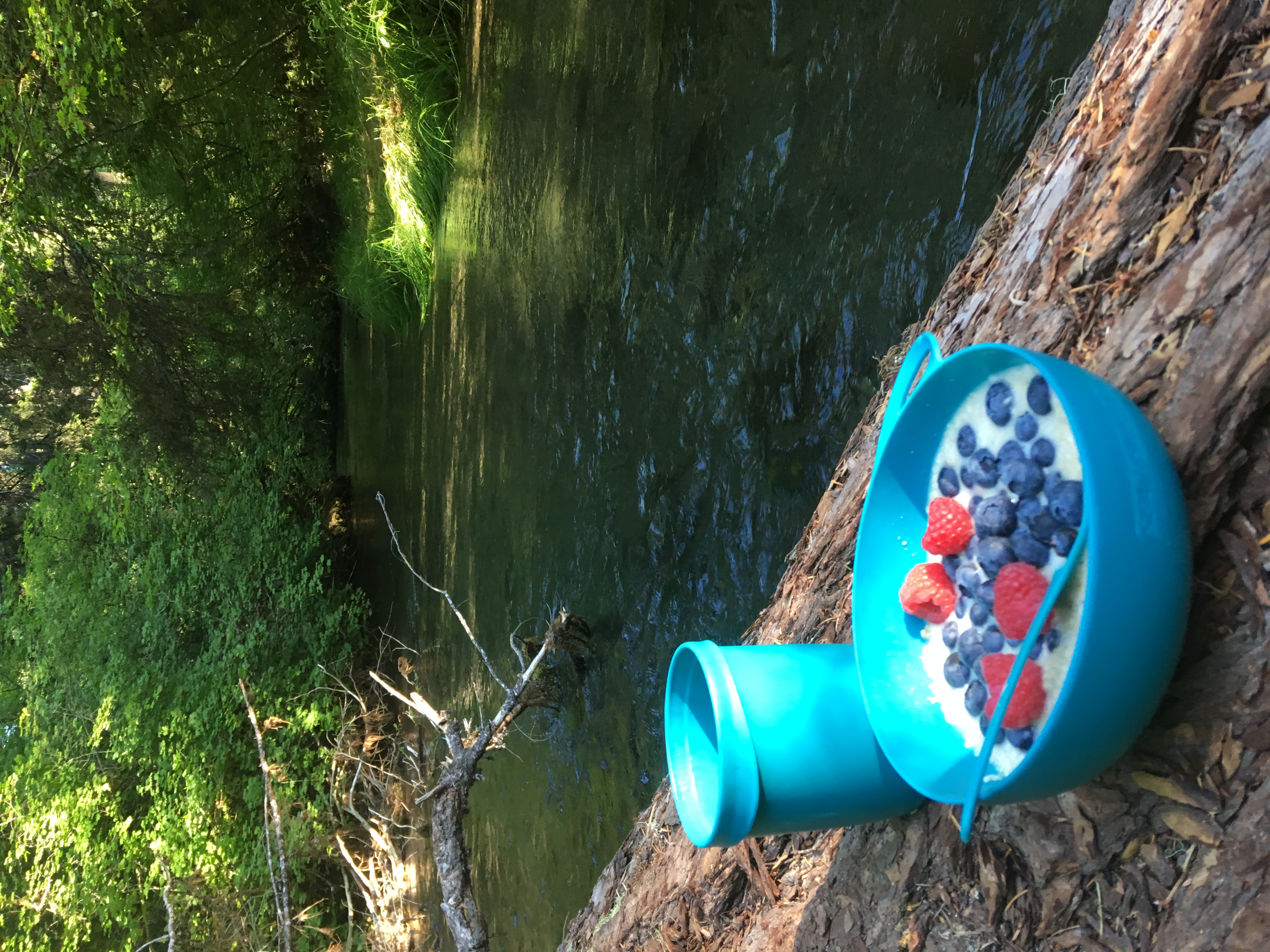 Breakfast by Union Creek at the back of our campsite (not sure why this repeatedly shows up sideways).