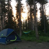 Review photo of Lost Lake Campground Yurts and Cabins by Hilary S., July 29, 2019