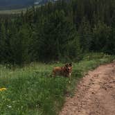Review photo of Bear Lake Campground by Shawnda T., July 29, 2019