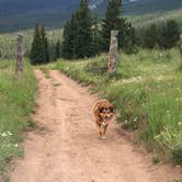 Review photo of Bear Lake Campground by Shawnda T., July 29, 2019