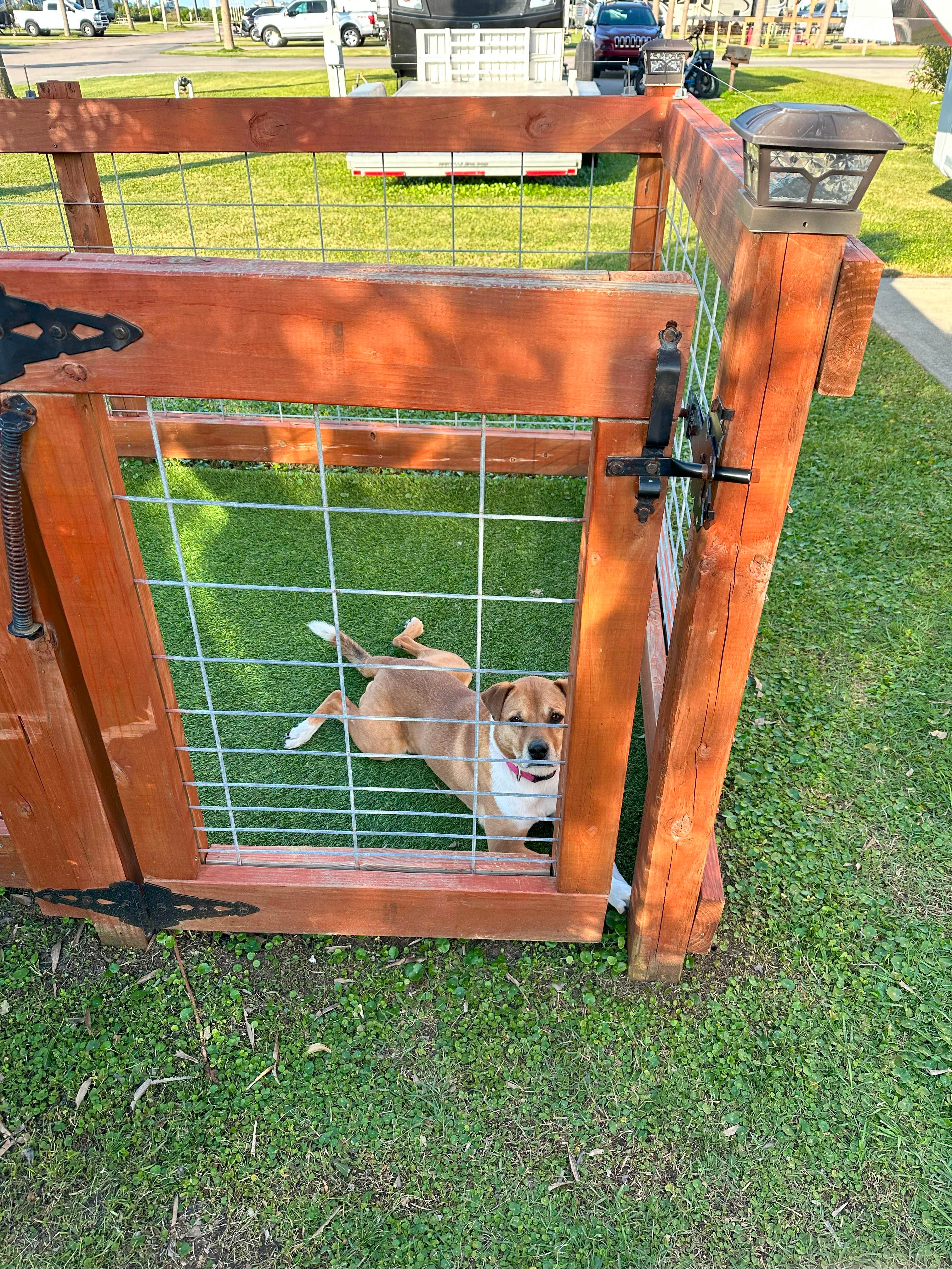 John E.'s photo of camping with pets at Galveston Island KOA Holiday near Lake Jackson, TX
