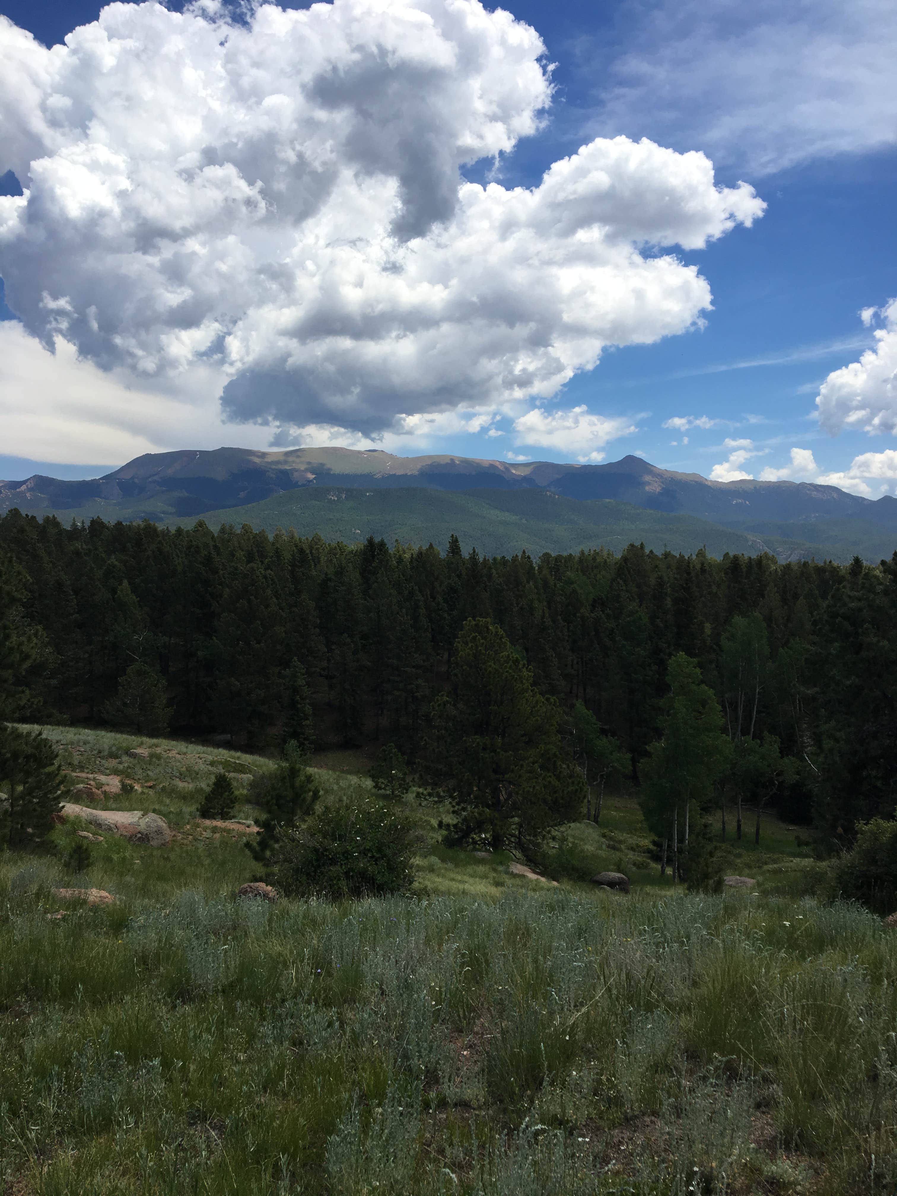 Mueller State Park Campground