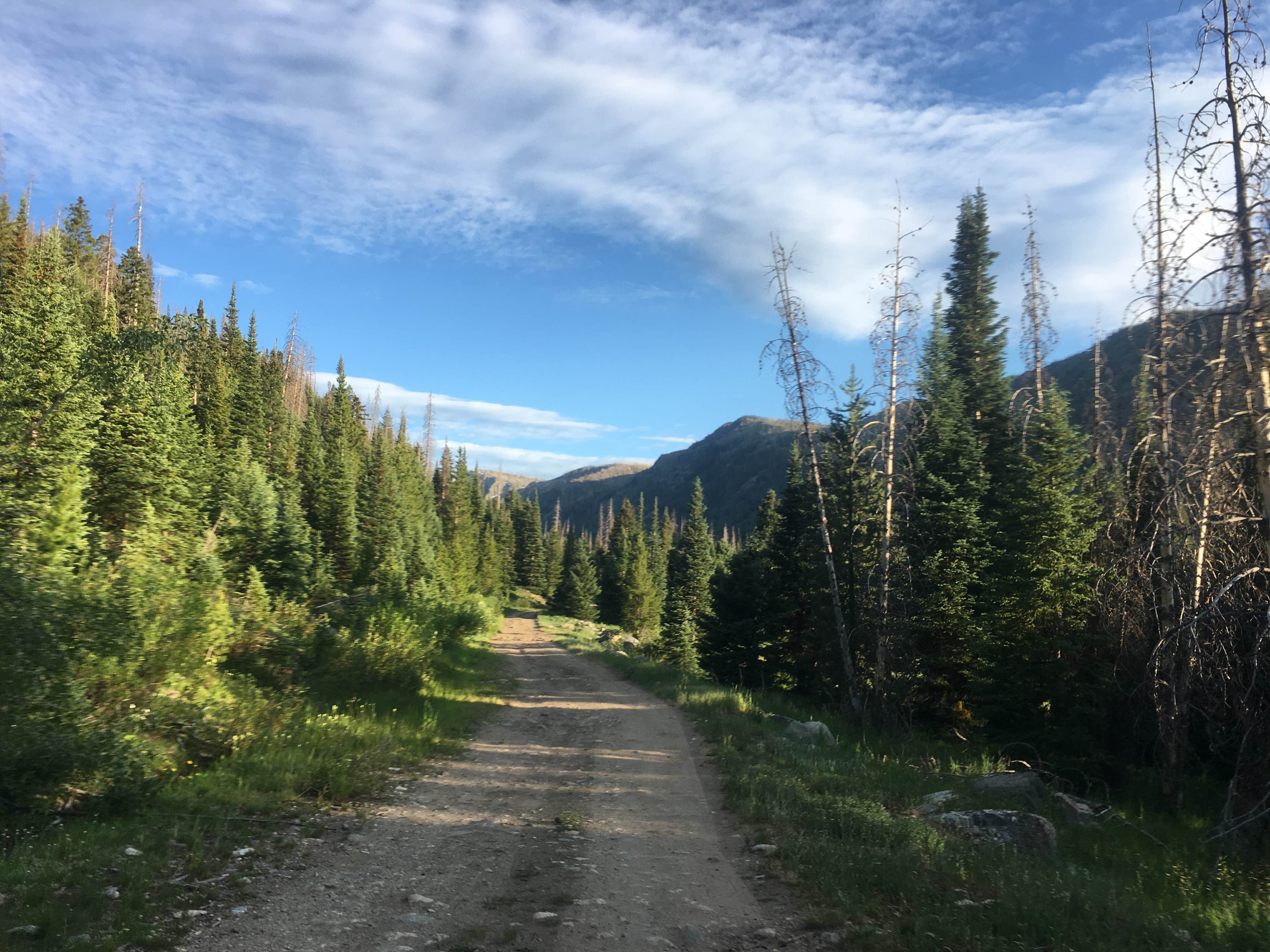 Camper submitted image from Seedhouse Group Site - Medicine-bow Routt Nf (CO) - 1
