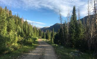 Camping near Hinman Park: Seedhouse Group Site - Medicine-bow Routt Nf (CO), Clark, Colorado