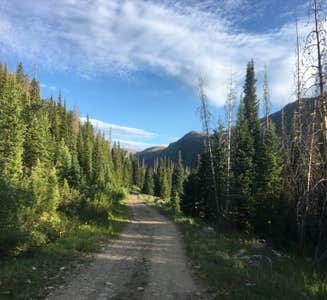 Camper-submitted photo from Seedhouse Group Site - Medicine-bow Routt Nf (CO)