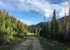 Seedhouse Group Site - Medicine-bow Routt Nf (co)