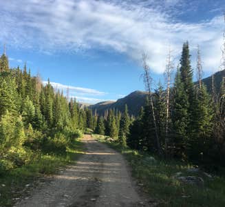 Camper-submitted photo from Seedhouse Group Site - Medicine-bow Routt Nf (CO)