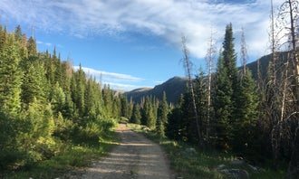 Camping near Beaver Creek Trailhead: Seedhouse Group Site - Medicine-bow Routt Nf (CO), Clark, Colorado