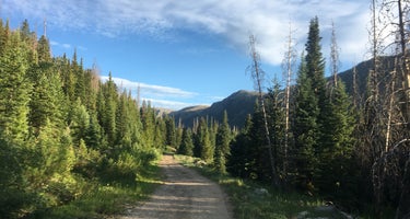 Seedhouse Group Site - Medicine-bow Routt Nf (co)