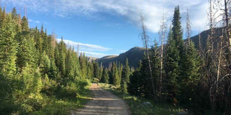 Camper submitted image from Seedhouse Group Site - Medicine-bow Routt Nf (CO)