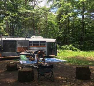 Camper-submitted photo from Canoe Landing Group Campsite — James River State Park