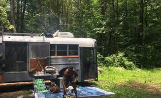 Rogue1 B.'s photo at Oronoco Campground near Roseland, VA