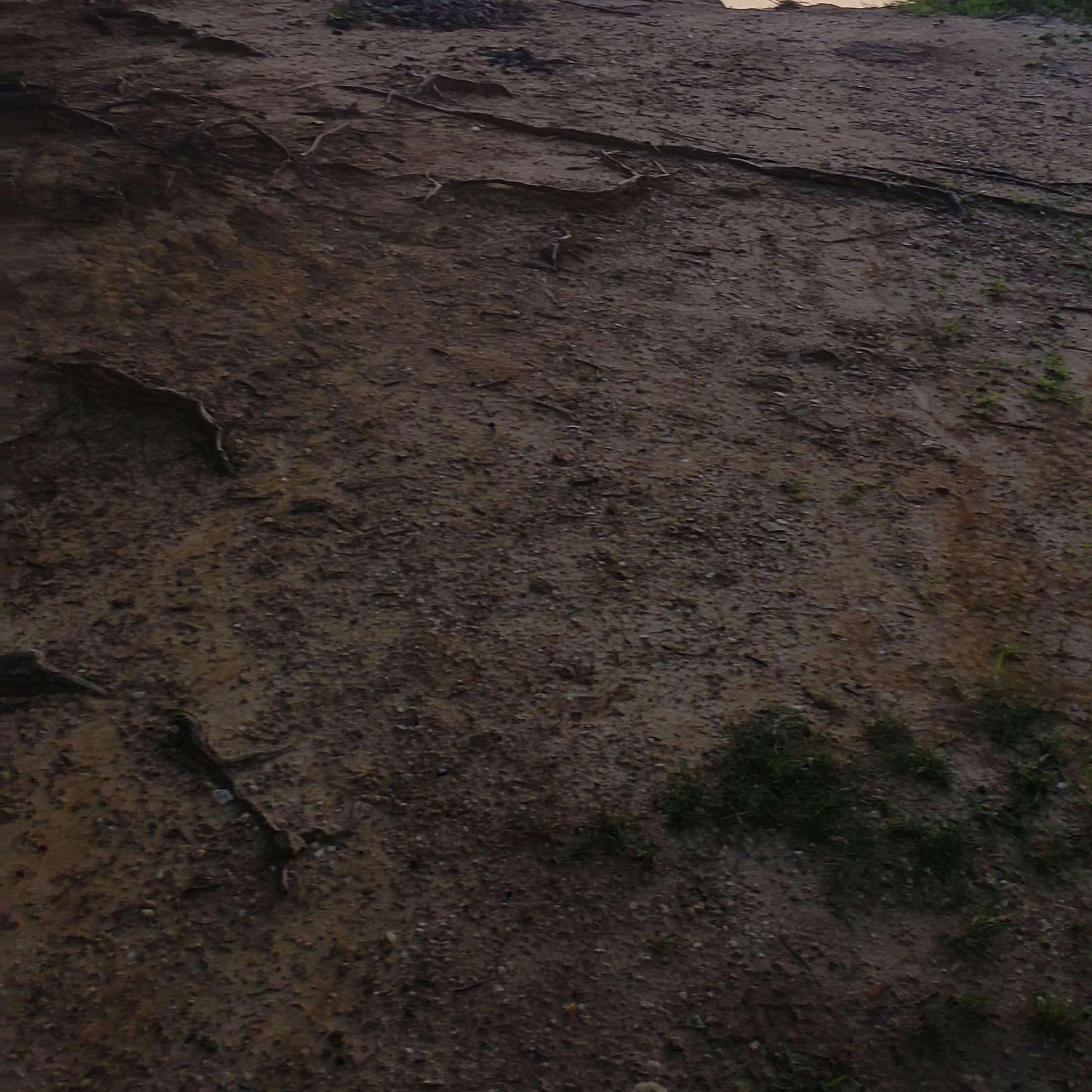 Ginger Bay Camping The Dyrt